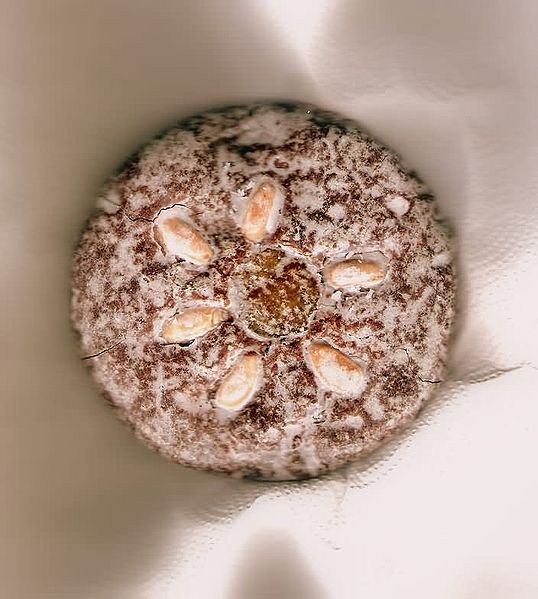 Nürnberger Lebkuchen mit Mandeln und Zuckerguss. Bildquelle Wikipedia